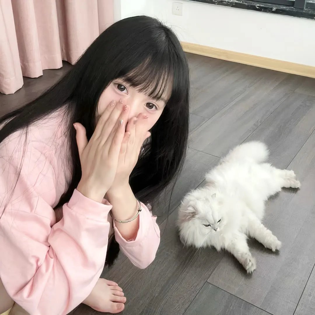 佩尼特环游世界的爱